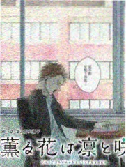 城市夜行指南 城市探索纪实综艺海报